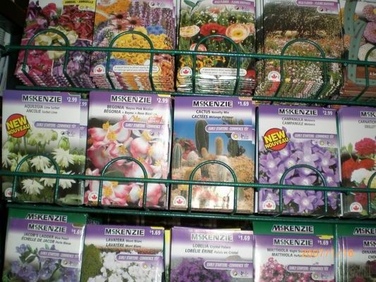 Resize of CIMG0527.JPG